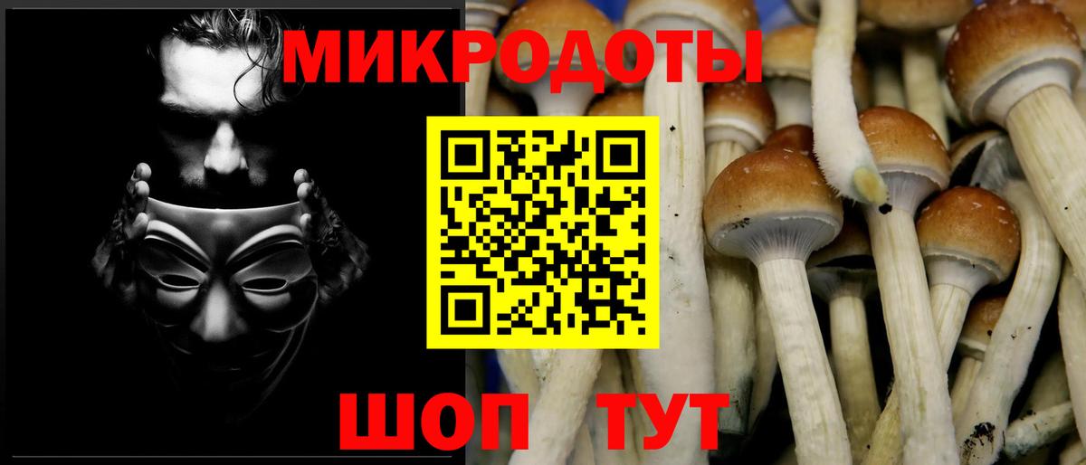 Галлюциногенные грибы Psilocybine cubensis  Вход с VPN  Галлюциногенные грибы GOLDEN TEACHER  Красноярск 